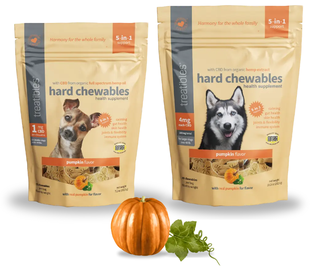 Pumpkin Flavored Hard Chewables 1mg and 4mg product image.