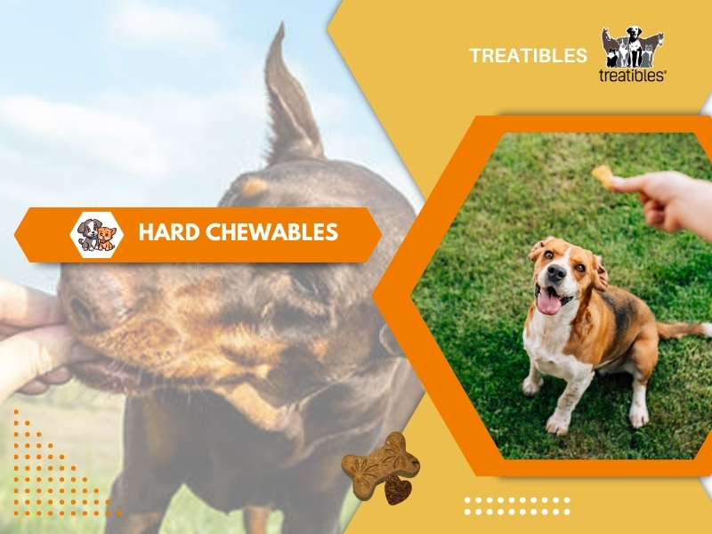 Hard Chewables image