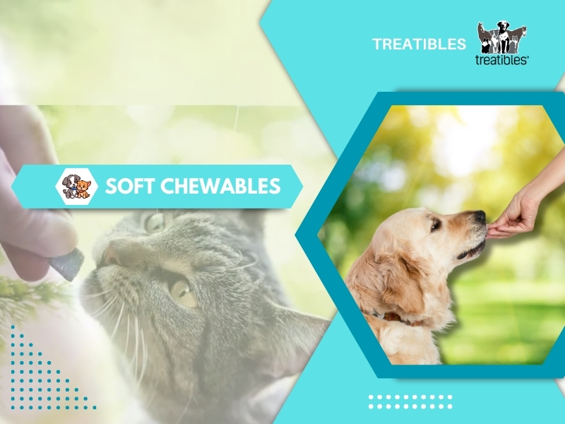 Soft Chewables Image