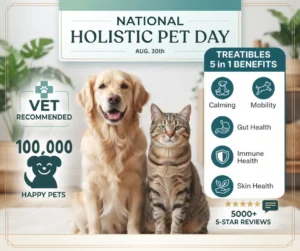Holistic Pet Day blog graphic